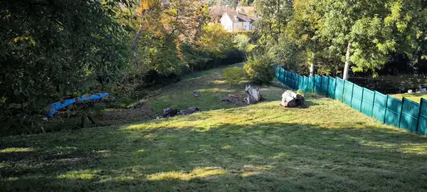 Après : Prairie en herbes hautes remise en pelouse