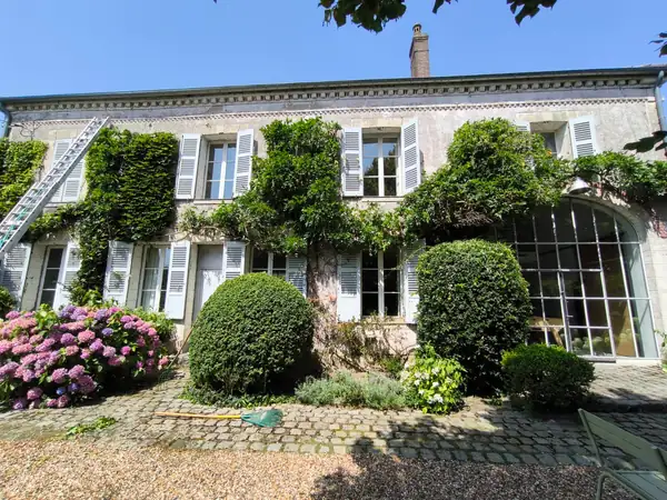 Après : Plantes grimpantes taillées autour des fenêtres d'une façade