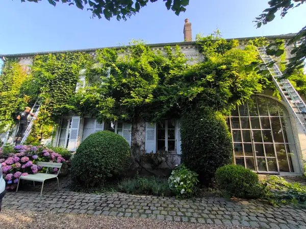 Avant : Plantes grimpantes taillées autour des fenêtres d'une façade
