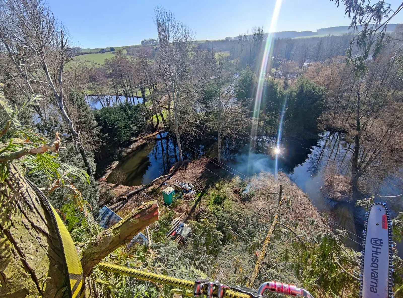 Démontage d'un arbre au bord d'un étang, vue depuis la cime.