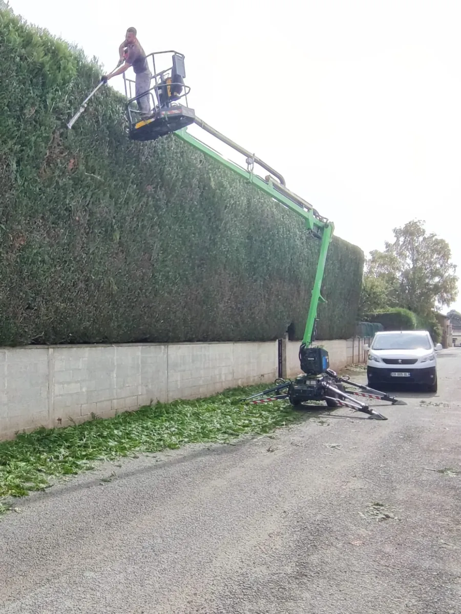 Chantier : Taille de haies et d'arbustes