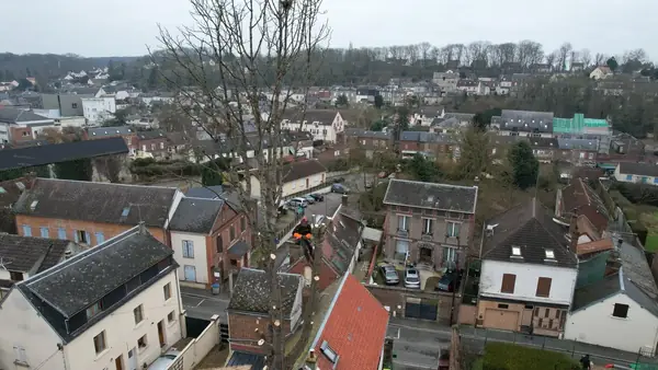 Élagage d'un grand arbre au-dessus des toits, grimpeur encordé dans la cime.